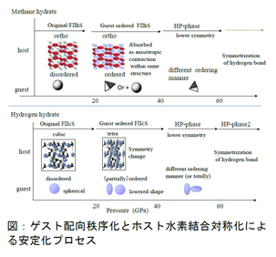 hirai-fig1